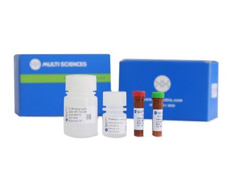 Annexin V-FITC/PI apoptosis kit细胞凋亡试剂盒